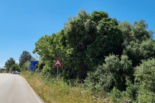 Un'immagine del tratto di strada che conduce al liceo artistico (foto L'Unione Sarda - Tellini)