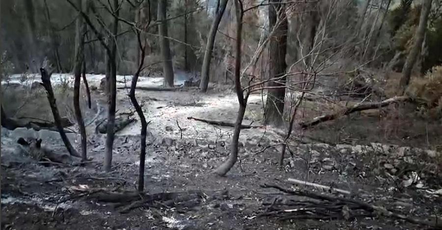 Incendi e distruzioni, l’allarme dell’Anbi: «Alto il rischio di alluvioni»