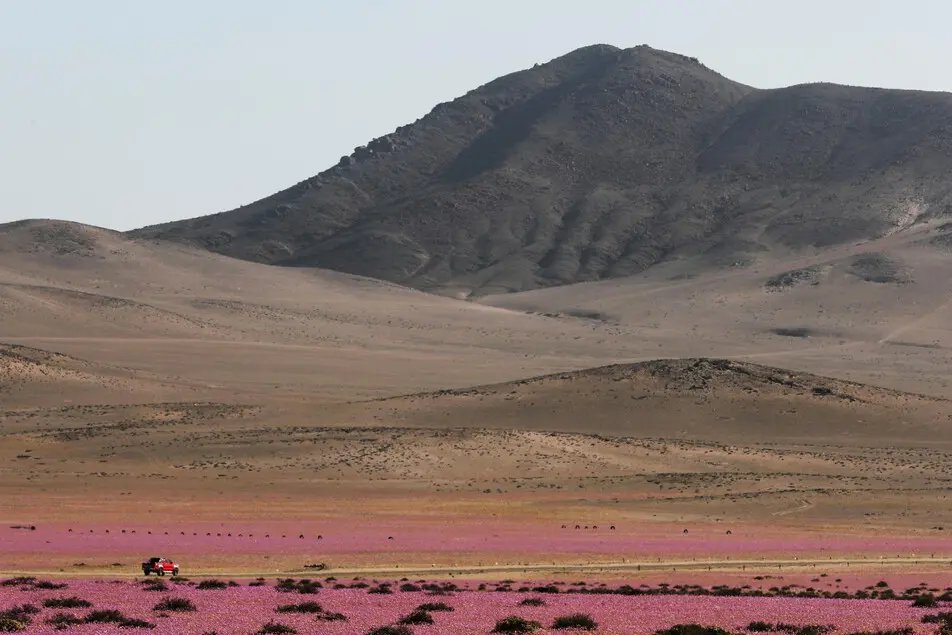 Il deserto di Atacama (foto Ansa)
