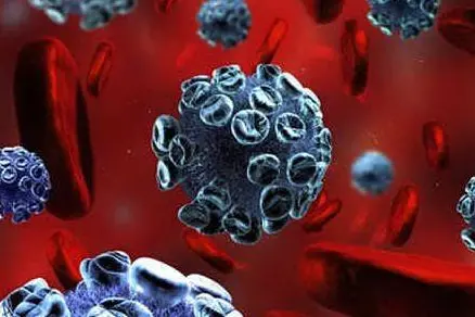 L'enterovirus D68 (foto da onhealth)