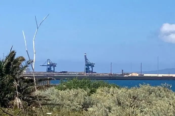 Le gru della Centrale di Fiume Santo (Foto: Pala)