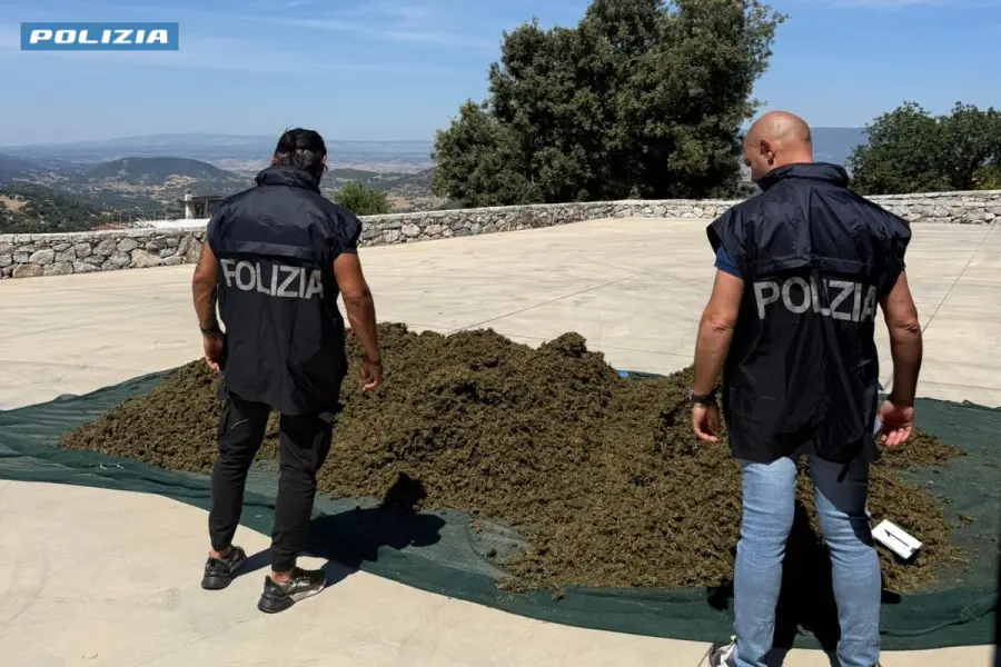 La droga sequestrata