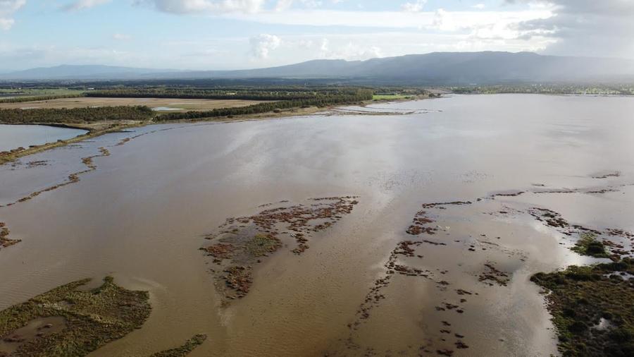 Arborea, pescatori con le braccia conserte da 12 giorni
