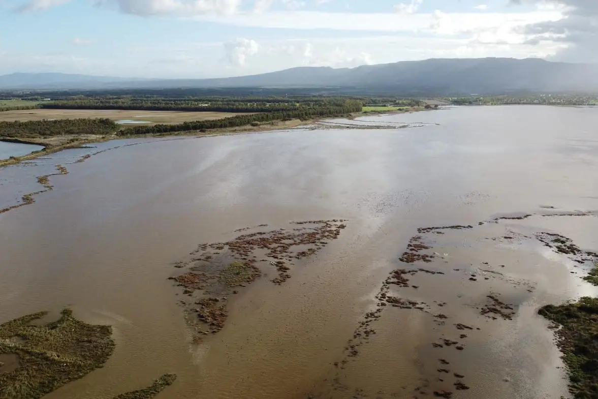 Lo stagno (foto concessa)