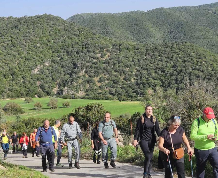 Foreste aperte, tanti eventi a Torpè