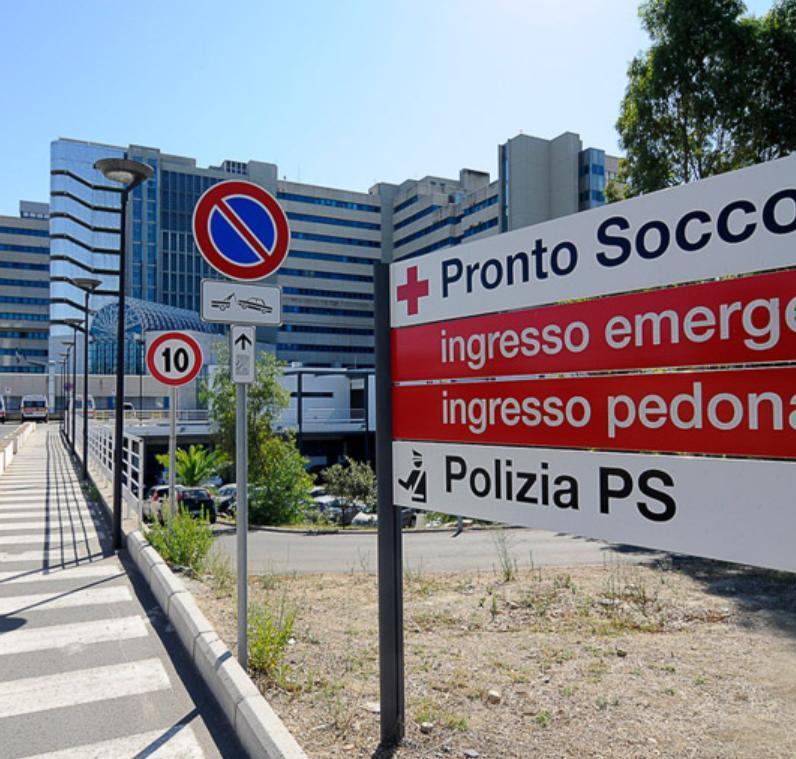 Cade da cavallo, paura per una 19enne