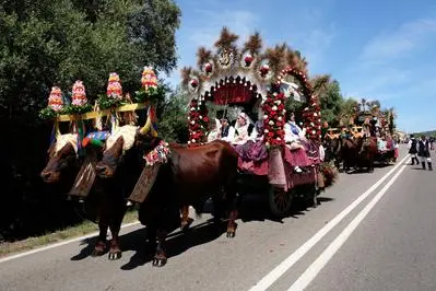 Traccas di Sant'Efisio