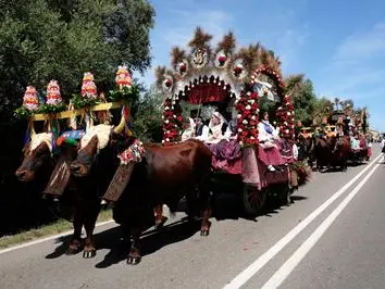 Traccas di Sant'Efisio