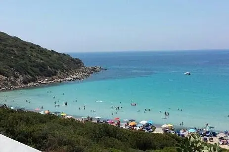 Mari Pintau