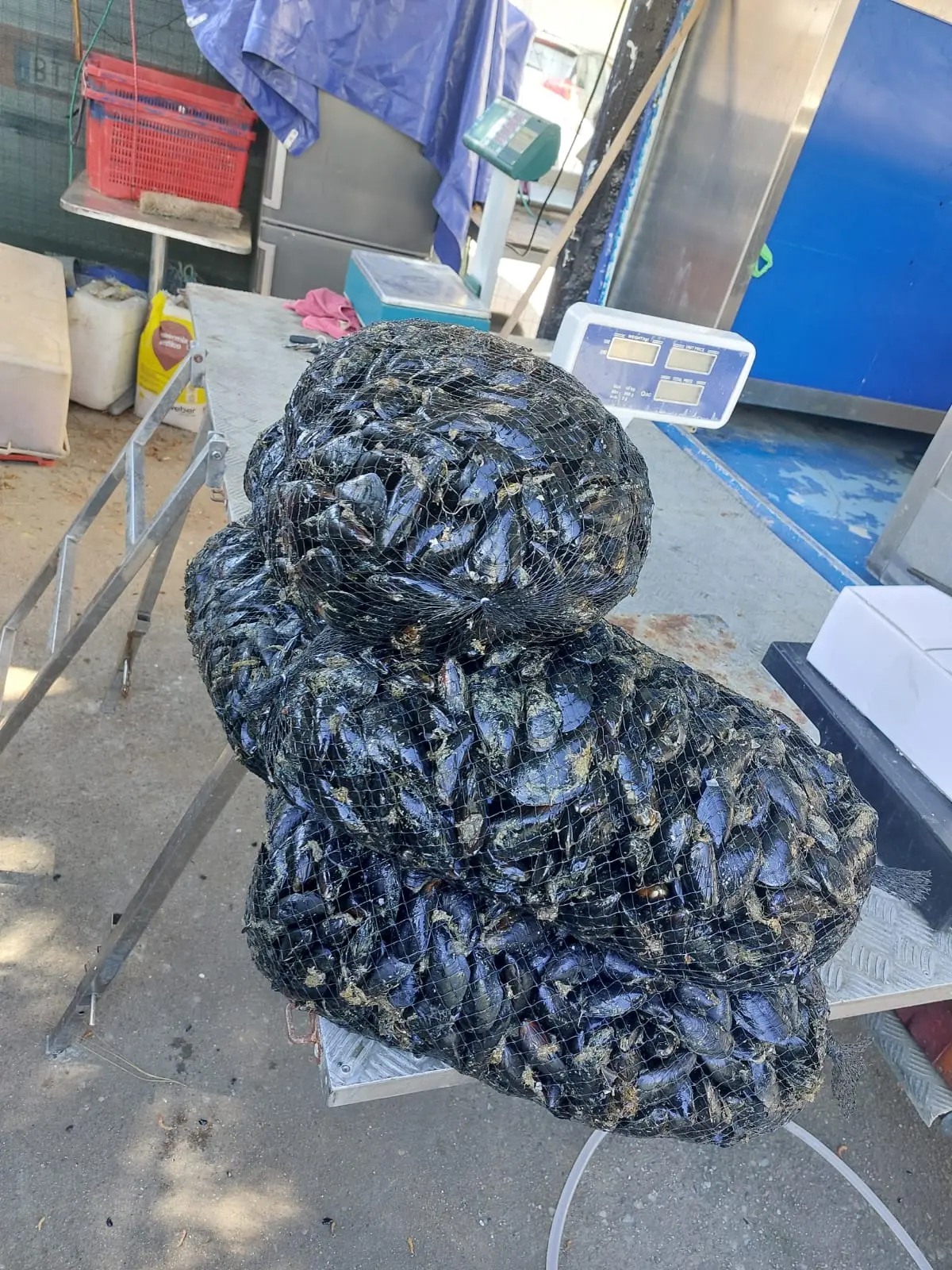 Il sequestro in via Is Mirrionis