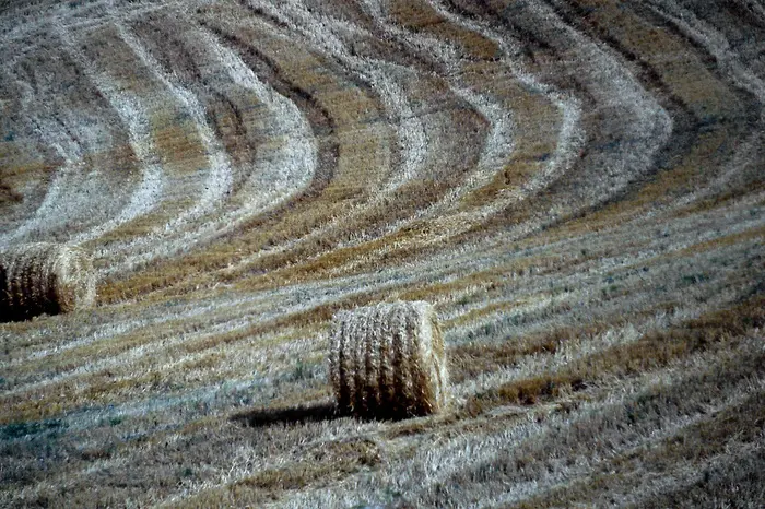 Foto simbolo (Ansa)