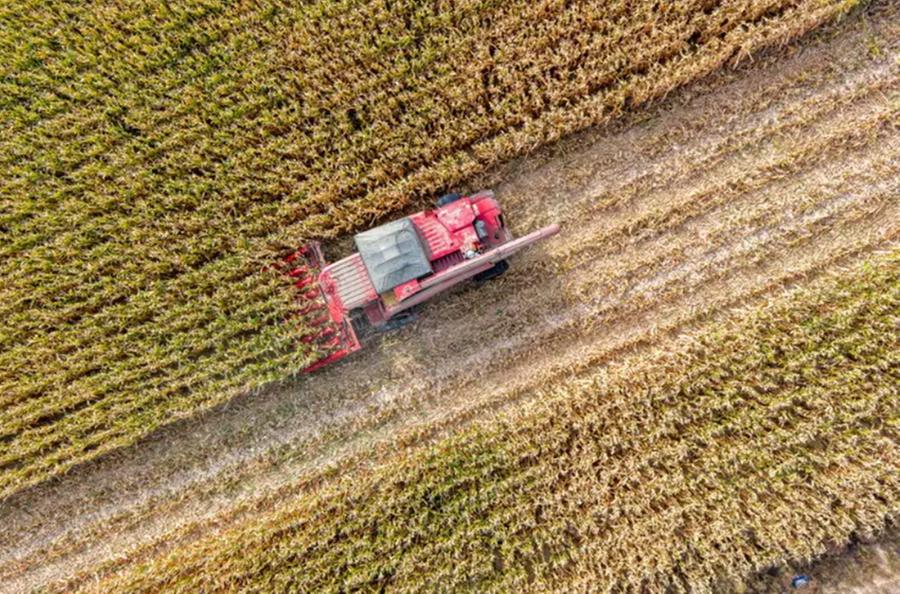 Rivalutazione quote e terreni: i calcoli in vista del termine 2025