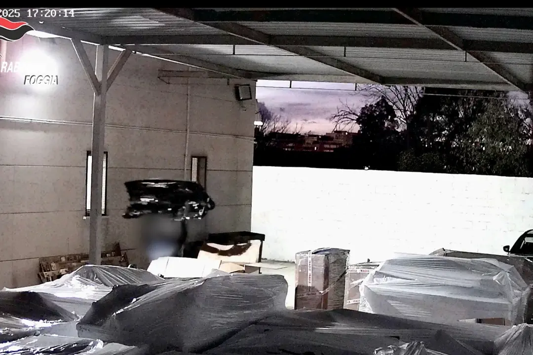 Ricettazione e riciclaggio di pezzi di auto rubate, otto arresti nel Foggiano