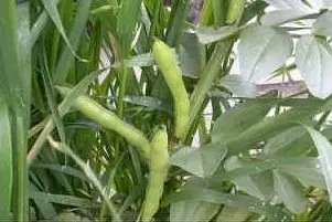 Una immagine simbolo tratta da Internet