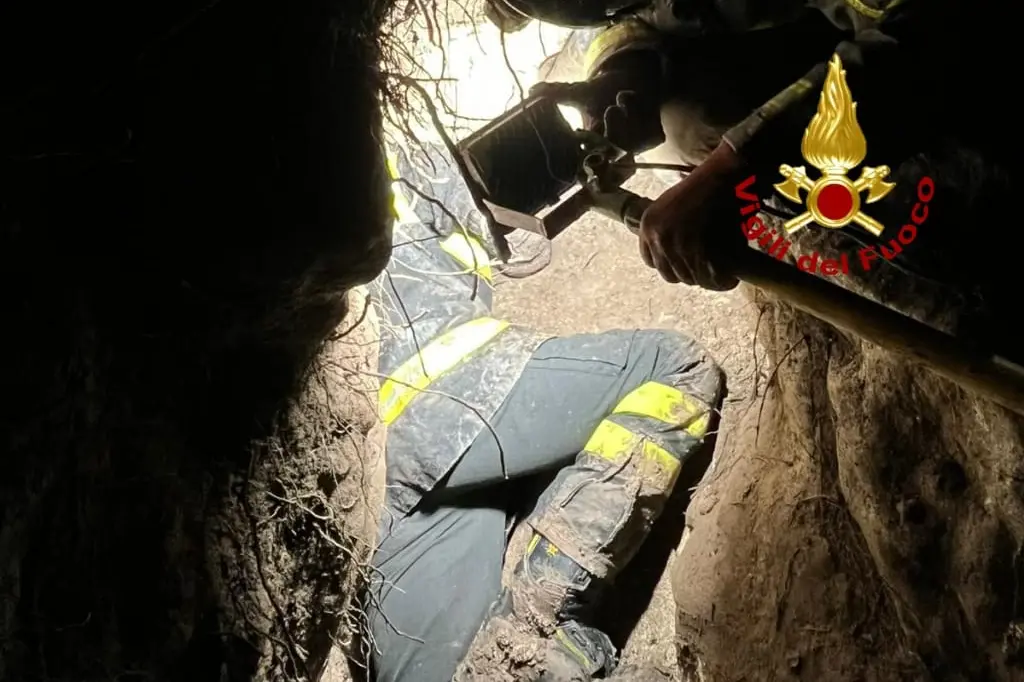 L'intervento dei vigili del fuoco a Narbolia