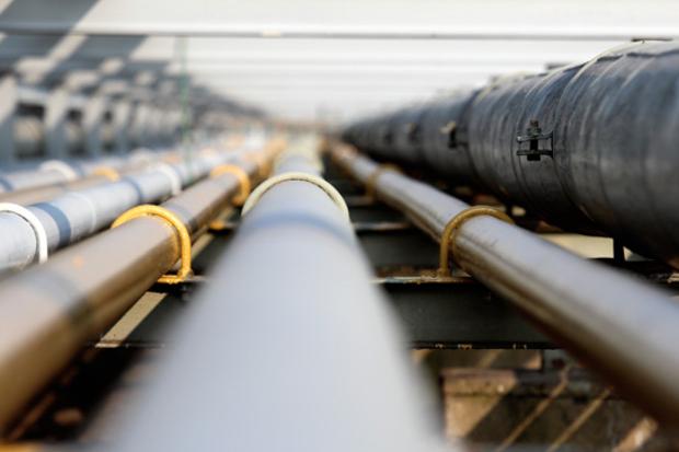 Gas, Putin rassicura sulle forniture Gazprom e i prezzi calano