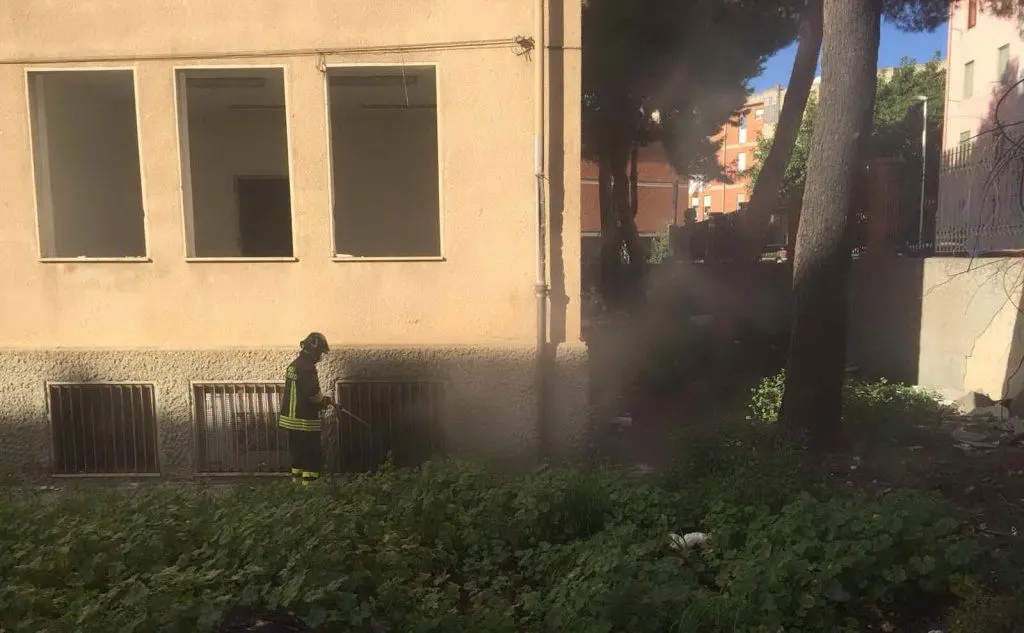 L'intervento dei vigili del fuoco (foto Matteo Vercelli)