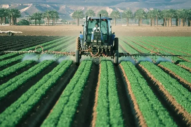 Agricoltura, fondi Ue (foto simbolo Ansa)