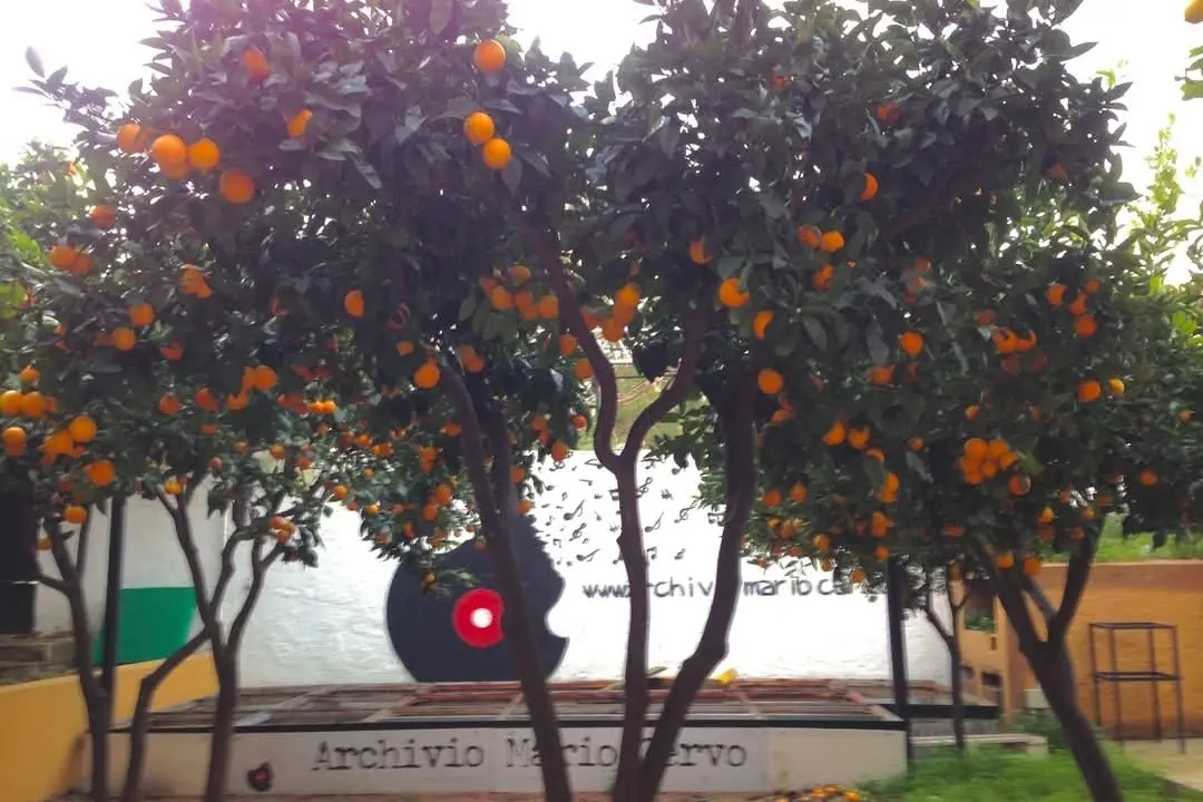 Archivio Mario Cervo