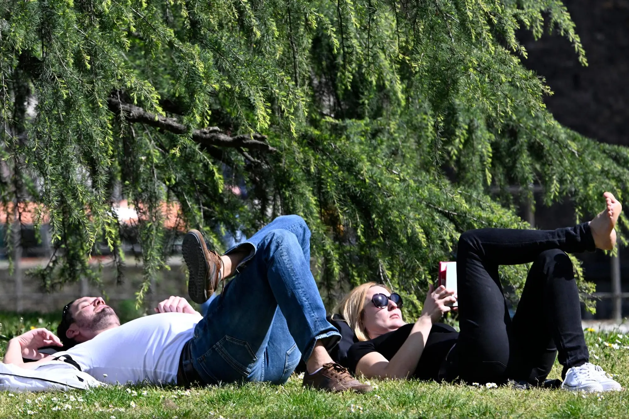 象征性照片（Ansa-Dal Zennaro）