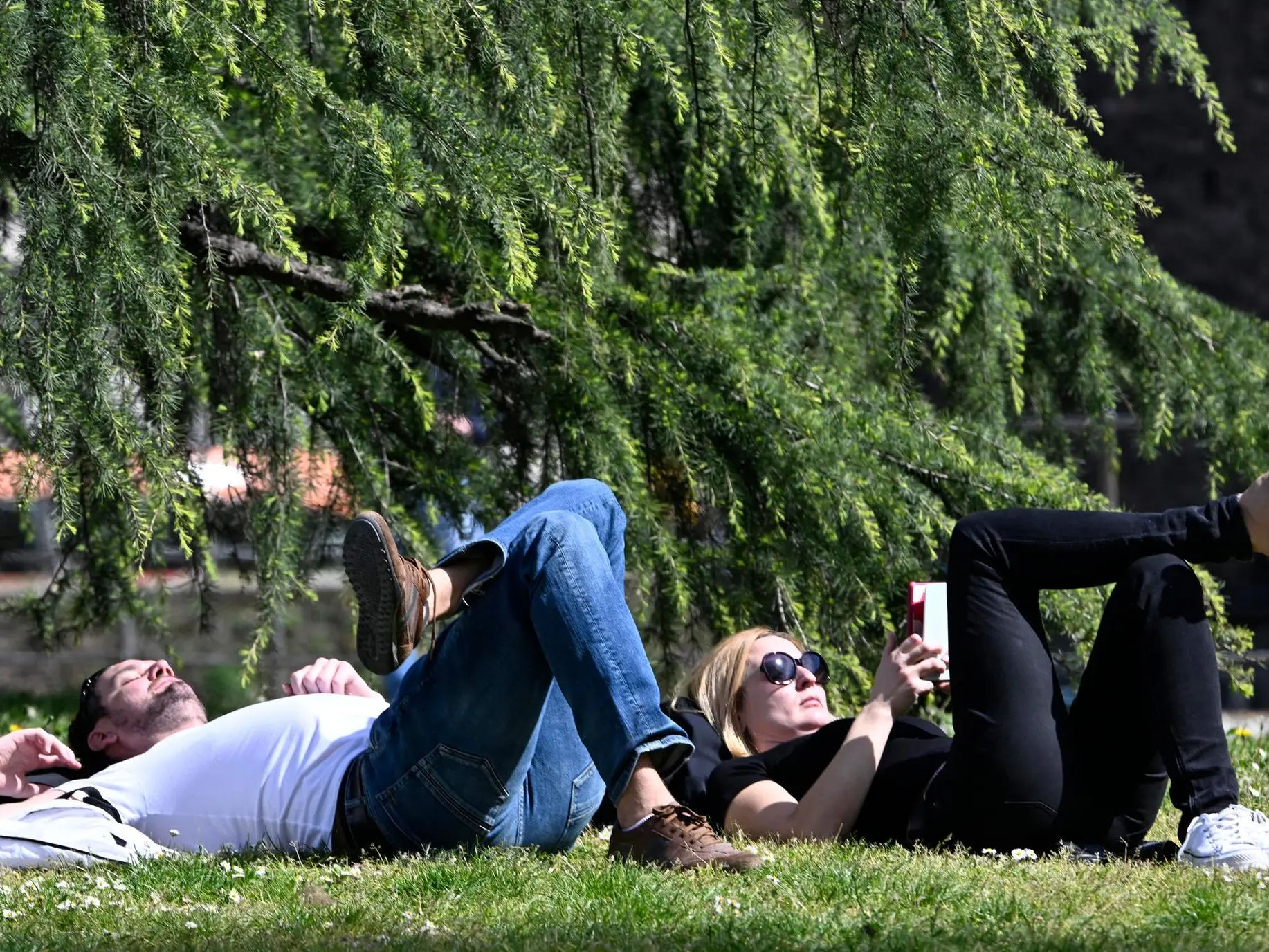 Due persone approfittano della giornata soleggiata al Parco Sempione, Milano, 2 aprile 2026. Ultime 24 ore di allerta meteo poi, per il ponte di Pasqua, arrivano il sole e il caldo con i termometri che arriveranno a sfiorare i 25°C.. ANSA/DANIEL DAL ZENNARO