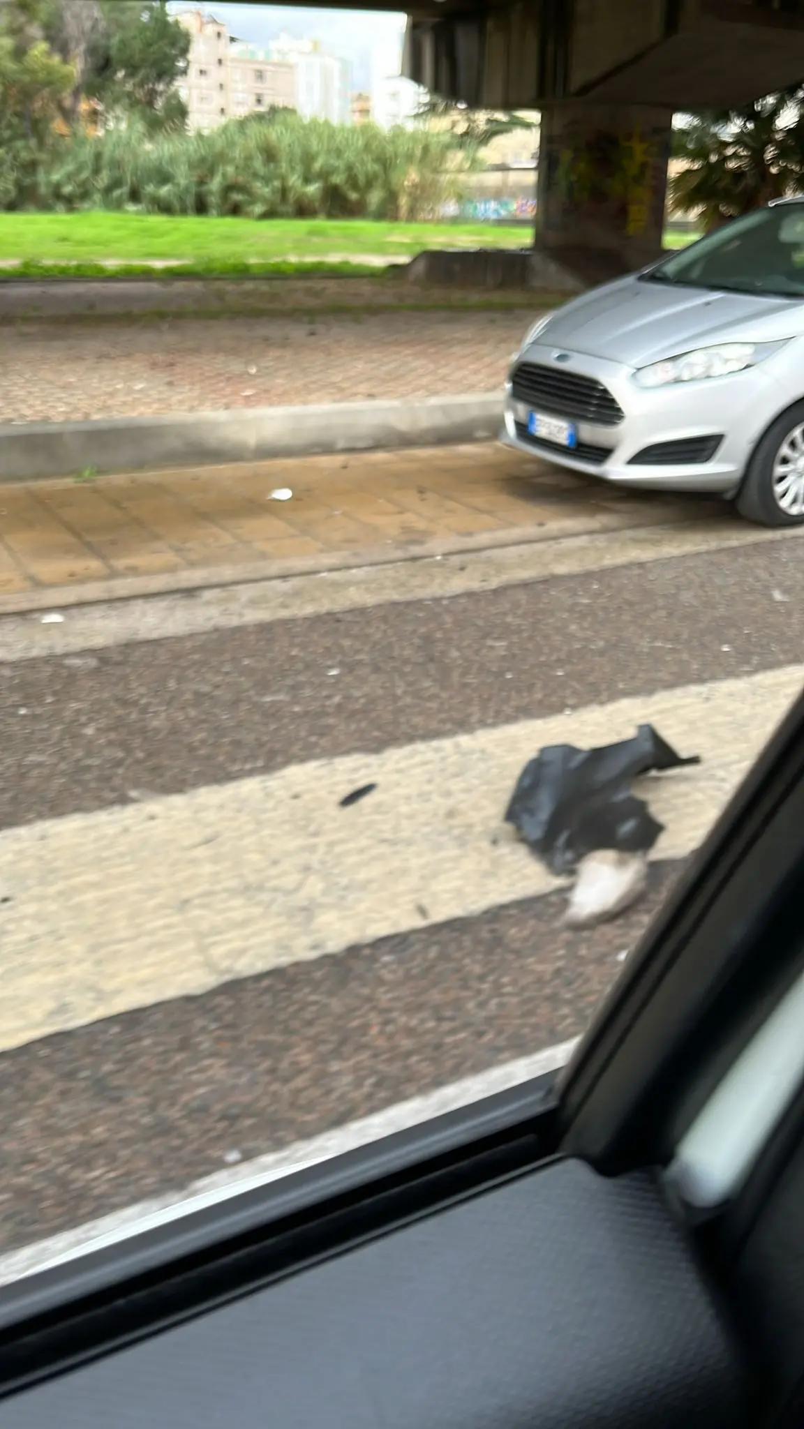 contentid/1aceb7a7-b299-4486-ba01-daeee0ba3ceb