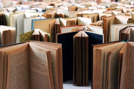 Old vintage books to the horizon