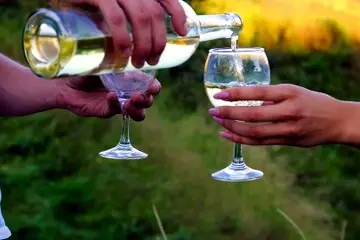 Vermentino, boom di cantine in Gallura: crescita del 90% in dieci anni