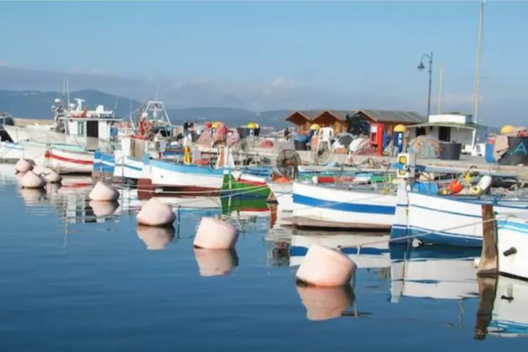 Barche a Golfo Aranci