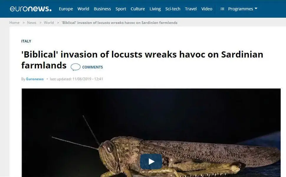 Euronews: \"Invasione biblica di locuste porta distruzione nelle aziende agricole della Sardegna\"