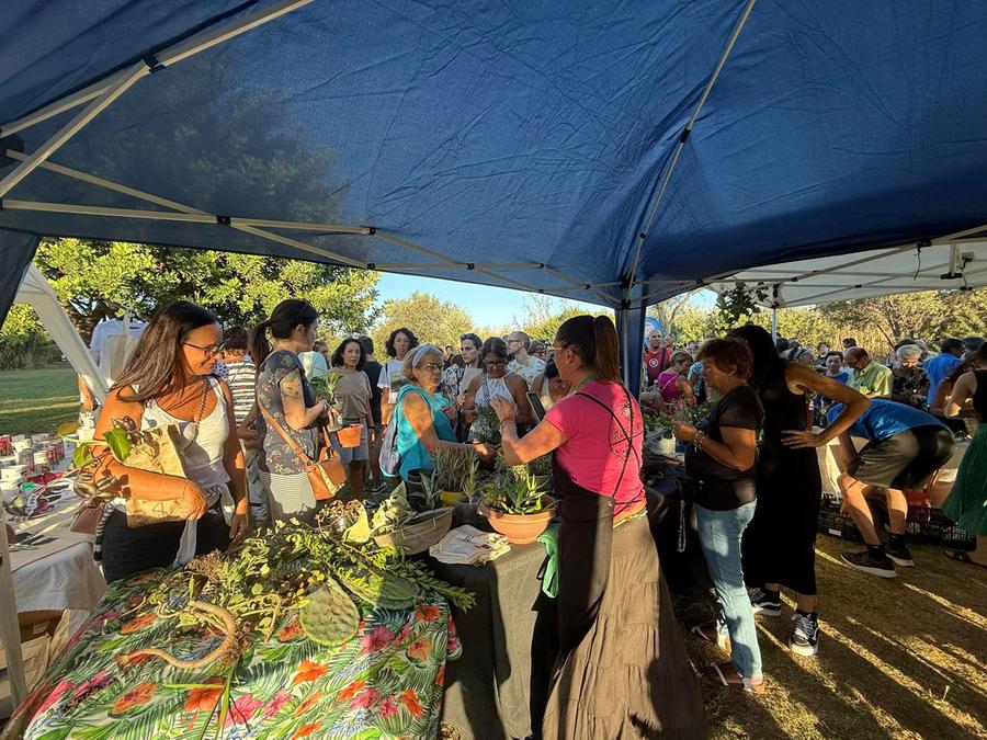 Quartu si veste di fiori: sabato la premiazione del concorso