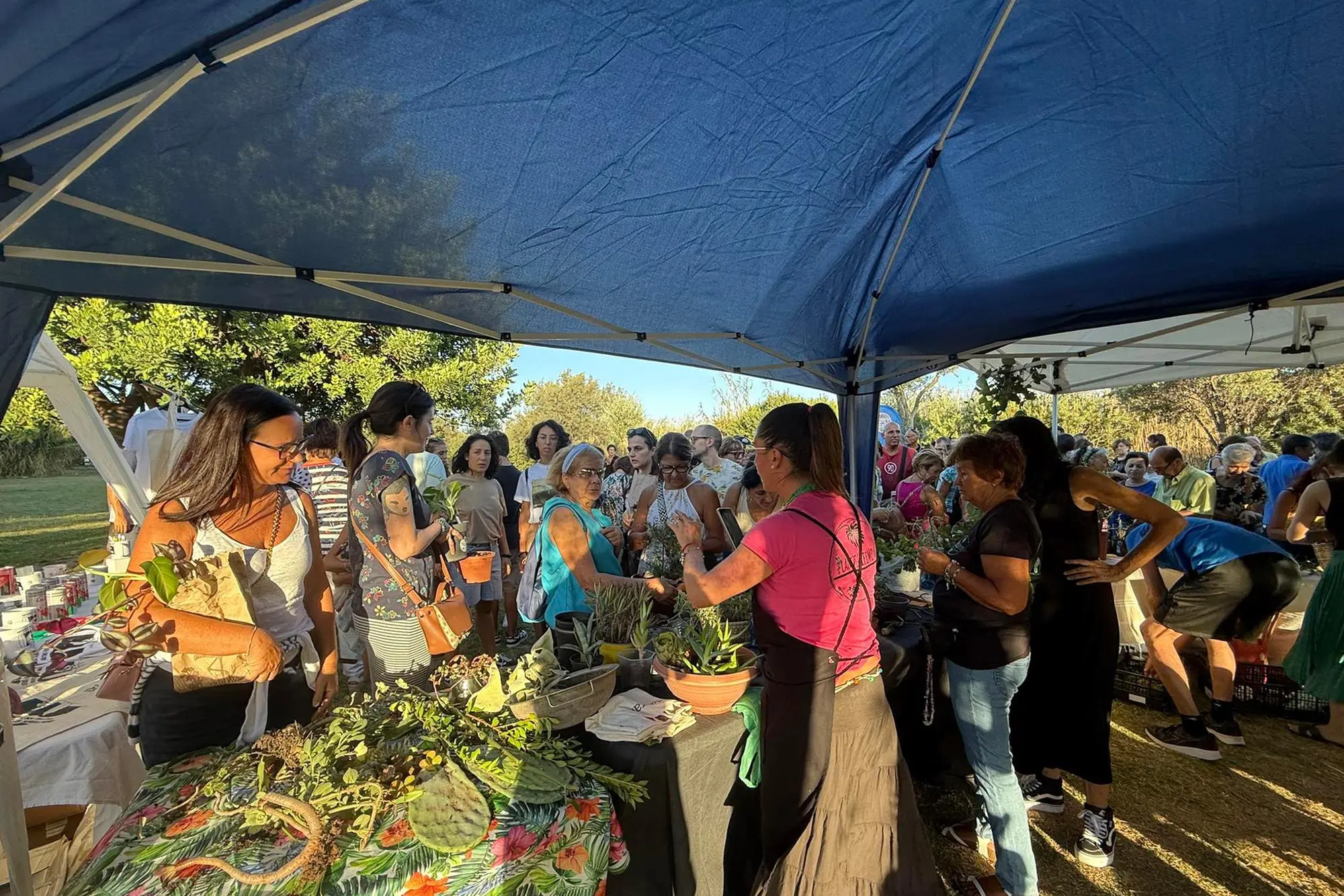 往期版本（照片由Daga提供）