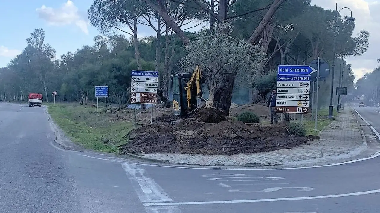 Castiadas, das Dorf Olia Speciosa wird immer &amp;quot;grüner&amp;quot; - L&amp;#39;Unione Sarda ...