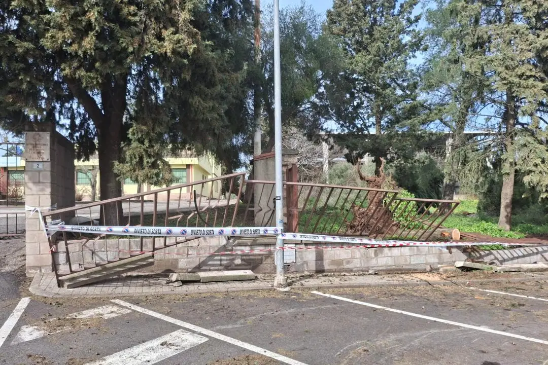 Alberi e recinzione rovinata a Ghilarza (foto Orbana)