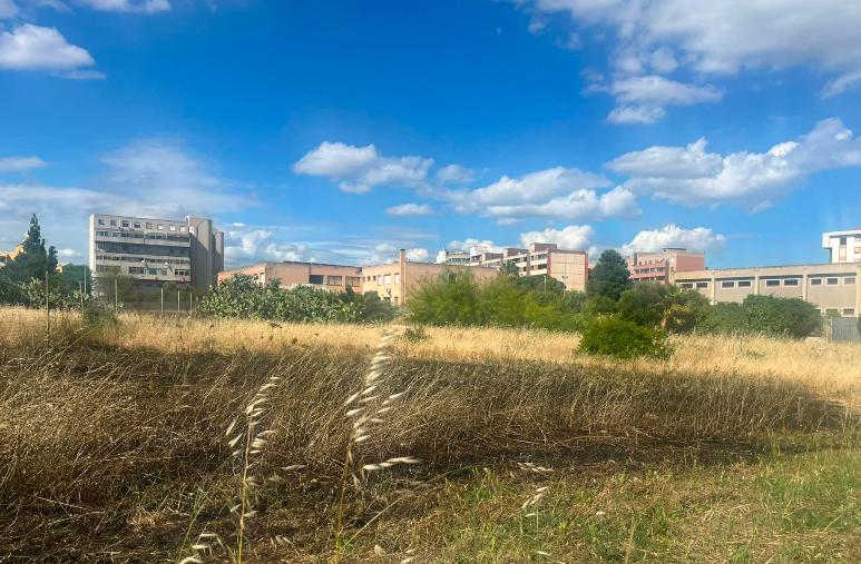 Cagliari, fiamme nel campo accanto alla scuola: le maestre mettono in salvo gli alunni
