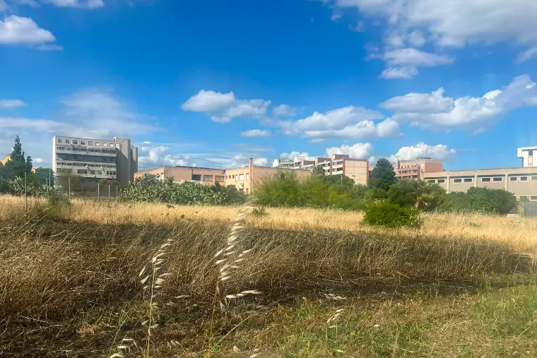 Il campo bruciato accanto alla scuola a Mulinu Becciu