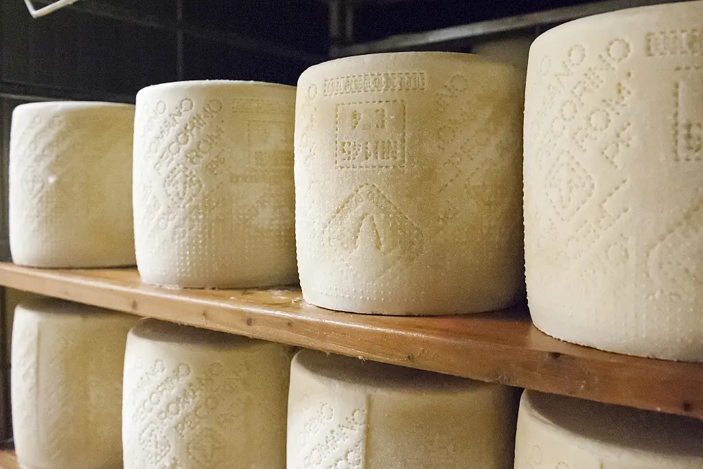 Pecorino romano (Foto archivio)