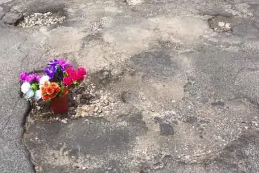 Un vaso di fiori sulla buca nell'asfalto