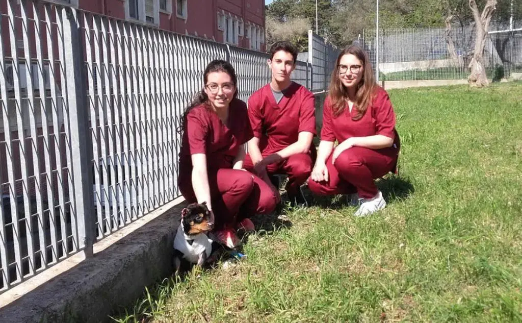 Il cagnolino con Ludovica, Benedetta e Filippo, studenti di Veterinaria dell'Università di Sassari (foto ufficio stampa)