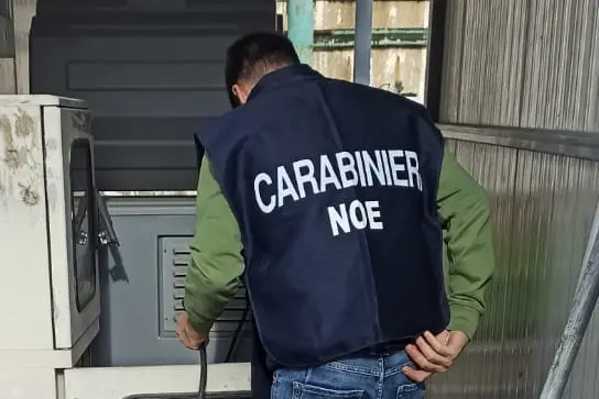 Un'attività dei carabinieri del Noe (L'Unione Sarda)