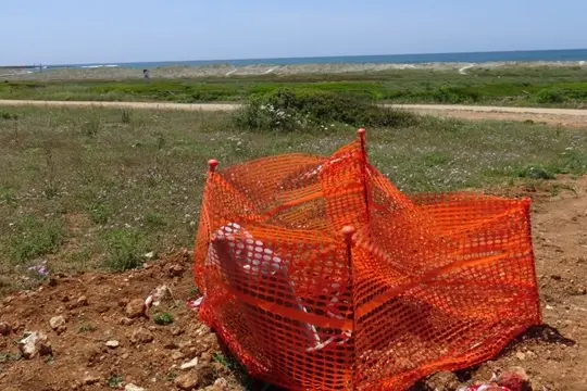 Nella foto i lavori nella costa del Sinis (foto Pinna)