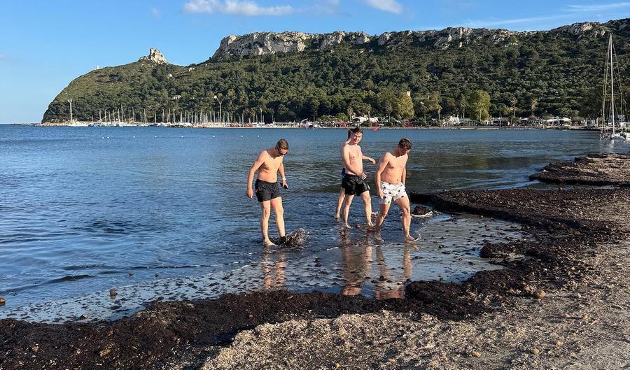 Poetto, la posidonia è un dilemma