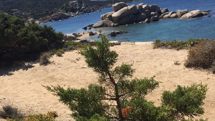 https://immagini.unionesarda.it/version/c:M2ViMmI0NGItNGNmOS00:MDFjOWIyZGMtOTllMS00/image.webp?f=16:9