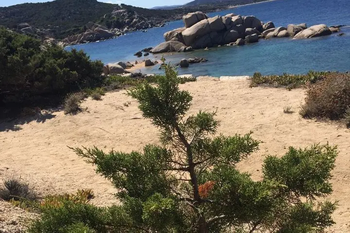Palau (foto Comitato Amici di Talmone e Cala di Trana)