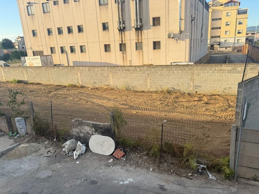 Emergenza topi: ripulito il terreno