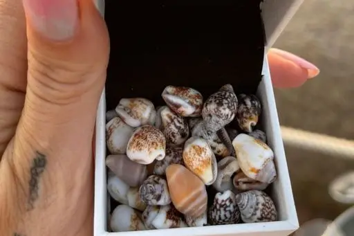 Il cofanetto postato da Chiara Ferragni (foto da Instagram)