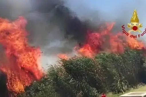 Il parco di Molentargius divorato dalle fiamme (foto Vigili del fuoco)