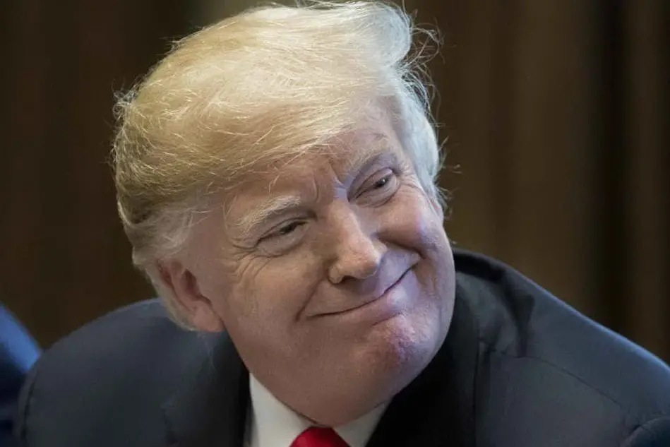 Il presidente degli Stati Uniti, Donald Trump (Ansa)