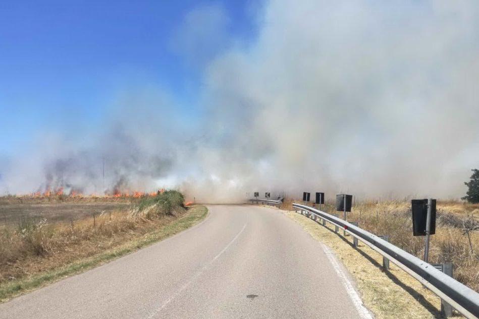 Il fumo dell'incendio lungo la provinciale (Foto A. Pintori)