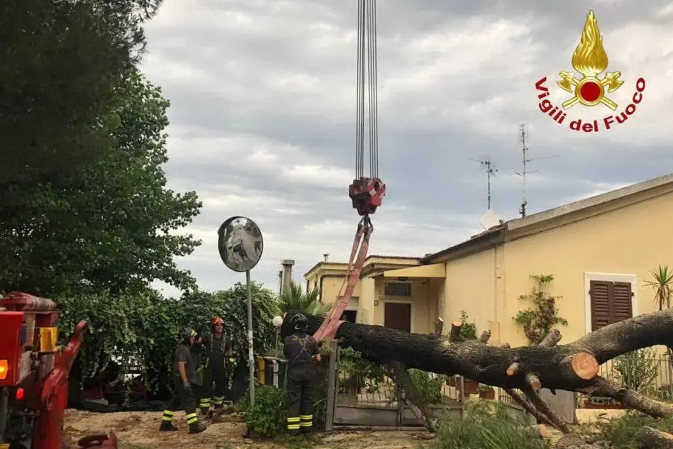 I danni provocati dalla perturbazione che ha colpito la provincia di Ancona (Ansa - Vigili del fuoco)